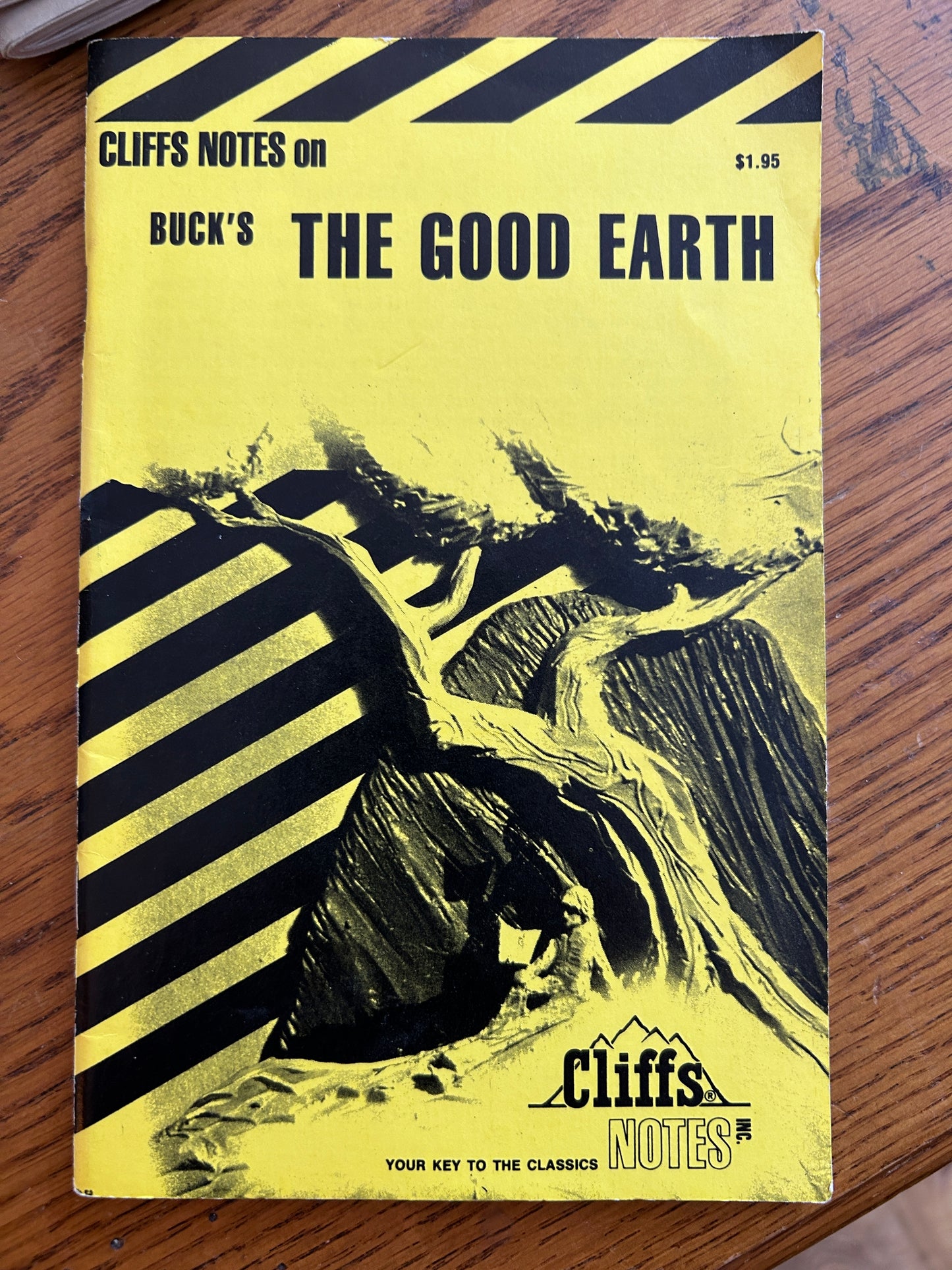 The Good Earth (Cliffs Notes) Reissue Edition by Stephen Veo Huntley (Author)